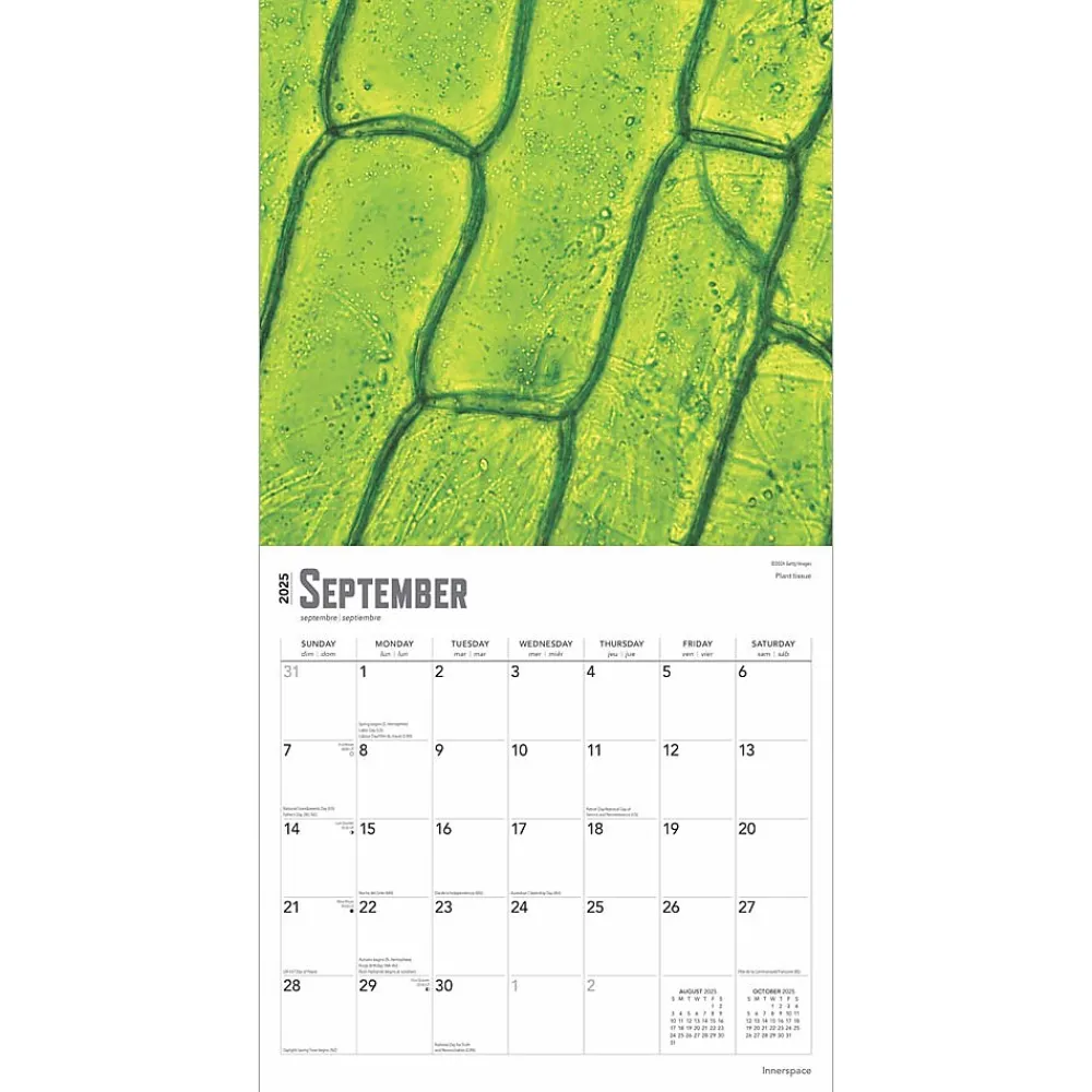 2025 Calendars|BrownTrout 2025 Innerspace 12" x 12" Monthly Square Wall Calendar (9781975481438)