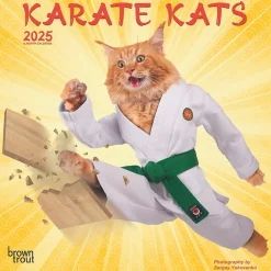2025 Calendars|BrownTrout 2025 Karate Cats 7" x 14" Monthly Mini Wall Calendar, (9781975479541)
