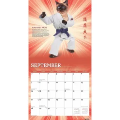2025 Calendars|BrownTrout 2025 Karate Cats 12