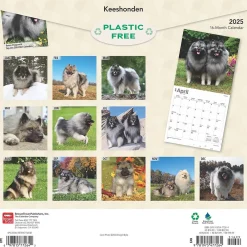 2025 Calendars|BrownTrout 2025 Keeshonden 12" x 12" Monthly Wall Calendar (9781975477264)