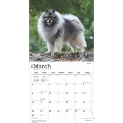 2025 Calendars|BrownTrout 2025 Keeshonden 12