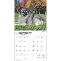 2025 Calendars|BrownTrout 2025 Keeshonden 12