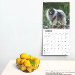 2025 Calendars|BrownTrout 2025 Keeshonden 12