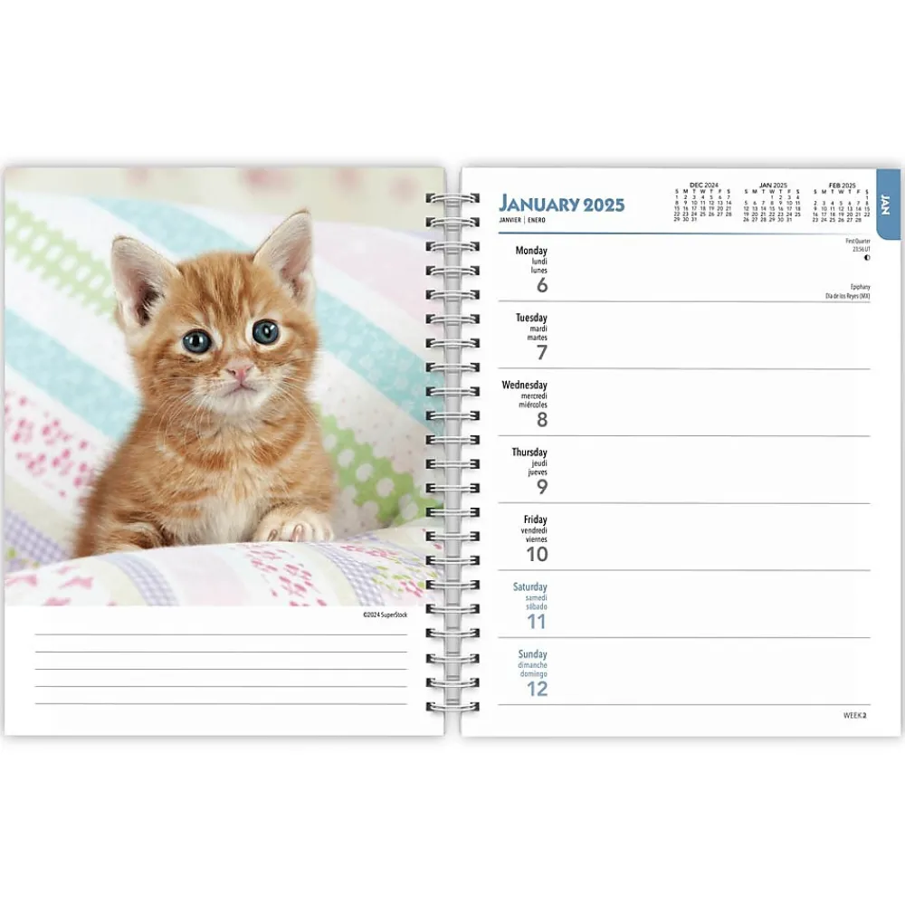 2025 Planners|BrownTrout 2025 Kittens 6" x 7.75" Weekly Engagement Planner, Paper Cover, Multicolored (9781975473136)