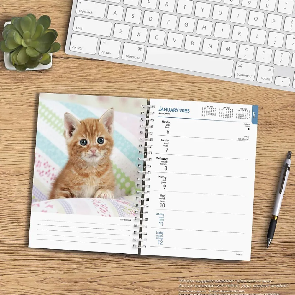 2025 Planners|BrownTrout 2025 Kittens 6" x 7.75" Weekly Engagement Planner, Paper Cover, Multicolored (9781975473136)