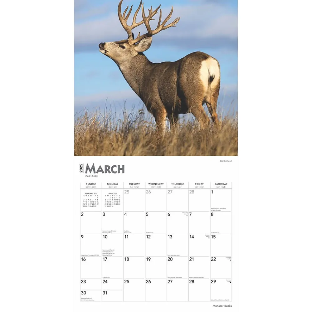 2025 Calendars|BrownTrout 2025 Monster Bucks 12" x 24" Monthly Square Wall Calendar (9781975477448)