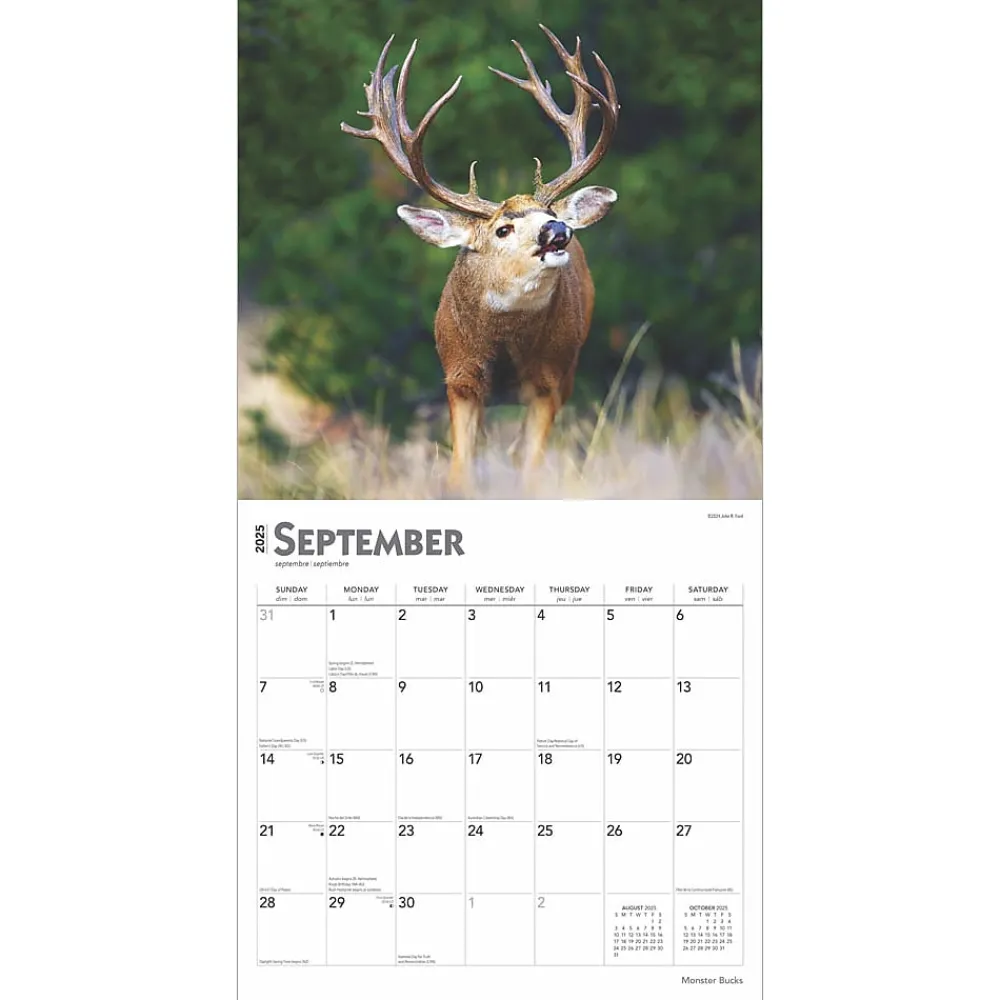 2025 Calendars|BrownTrout 2025 Monster Bucks 12" x 24" Monthly Square Wall Calendar (9781975477448)