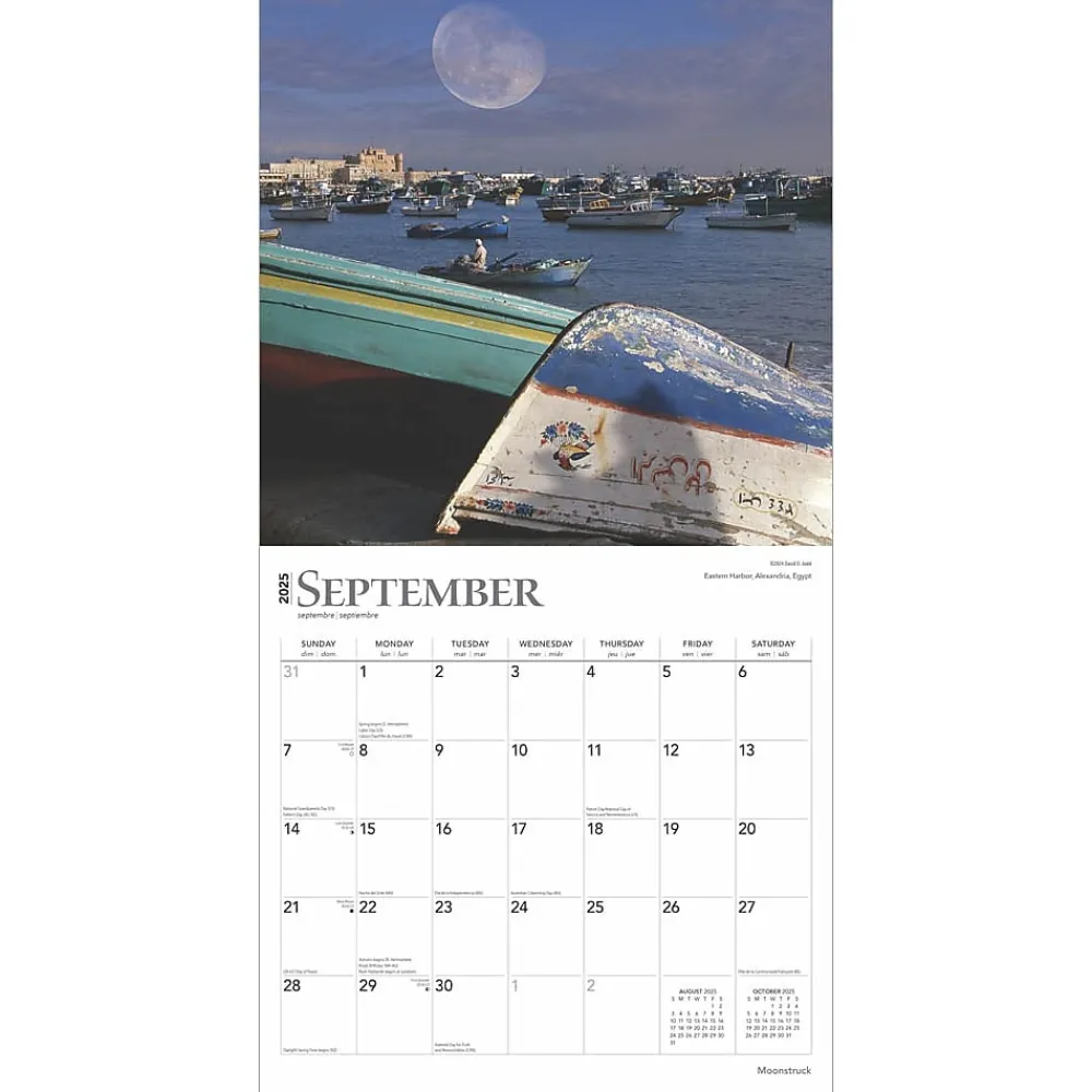 2025 Calendars|BrownTrout 2025 Moonstruck 12" x 24" Monthly Square Wall Calendar (9781975477455)