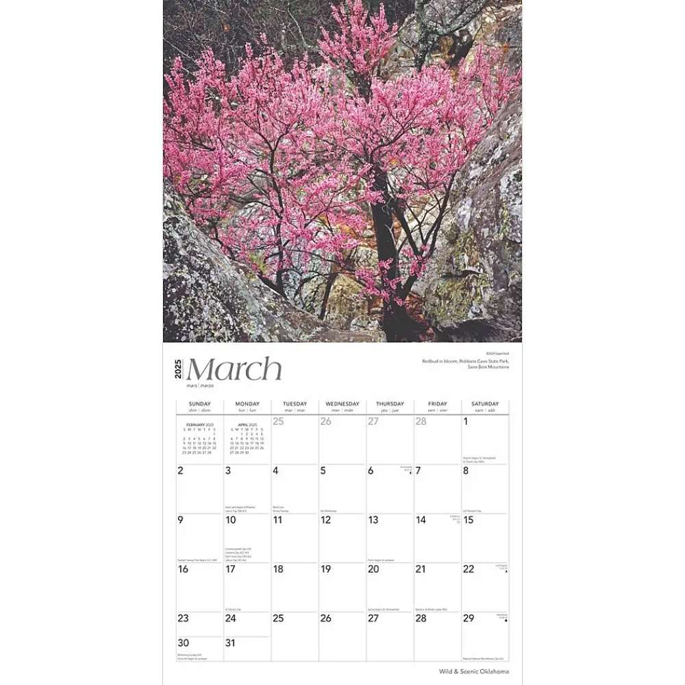 2025 Calendars|BrownTrout 2025 Oklahoma Wild & Scenic 12" x 12" Monthly Wall Calendar (9781975475482)