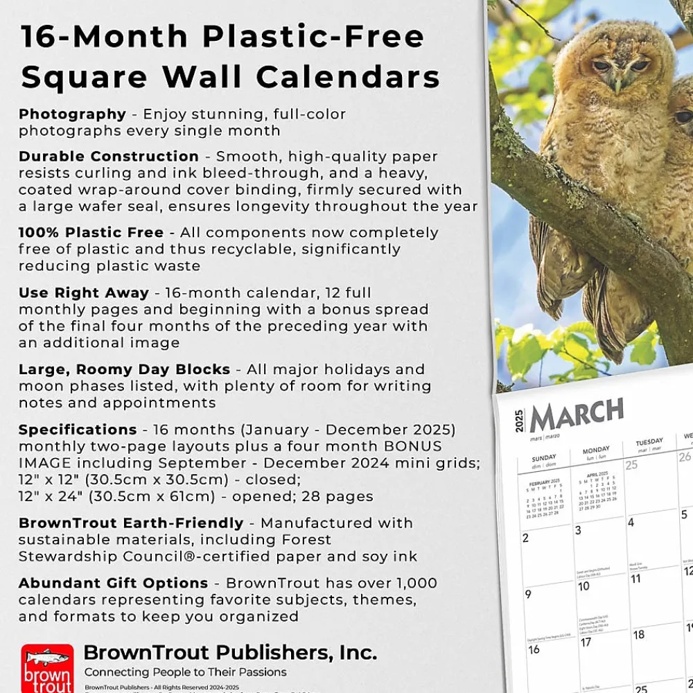 2025 Calendars|BrownTrout 2025 Owls 12" x 12" Monthly Wall Calendar (9781975477509)