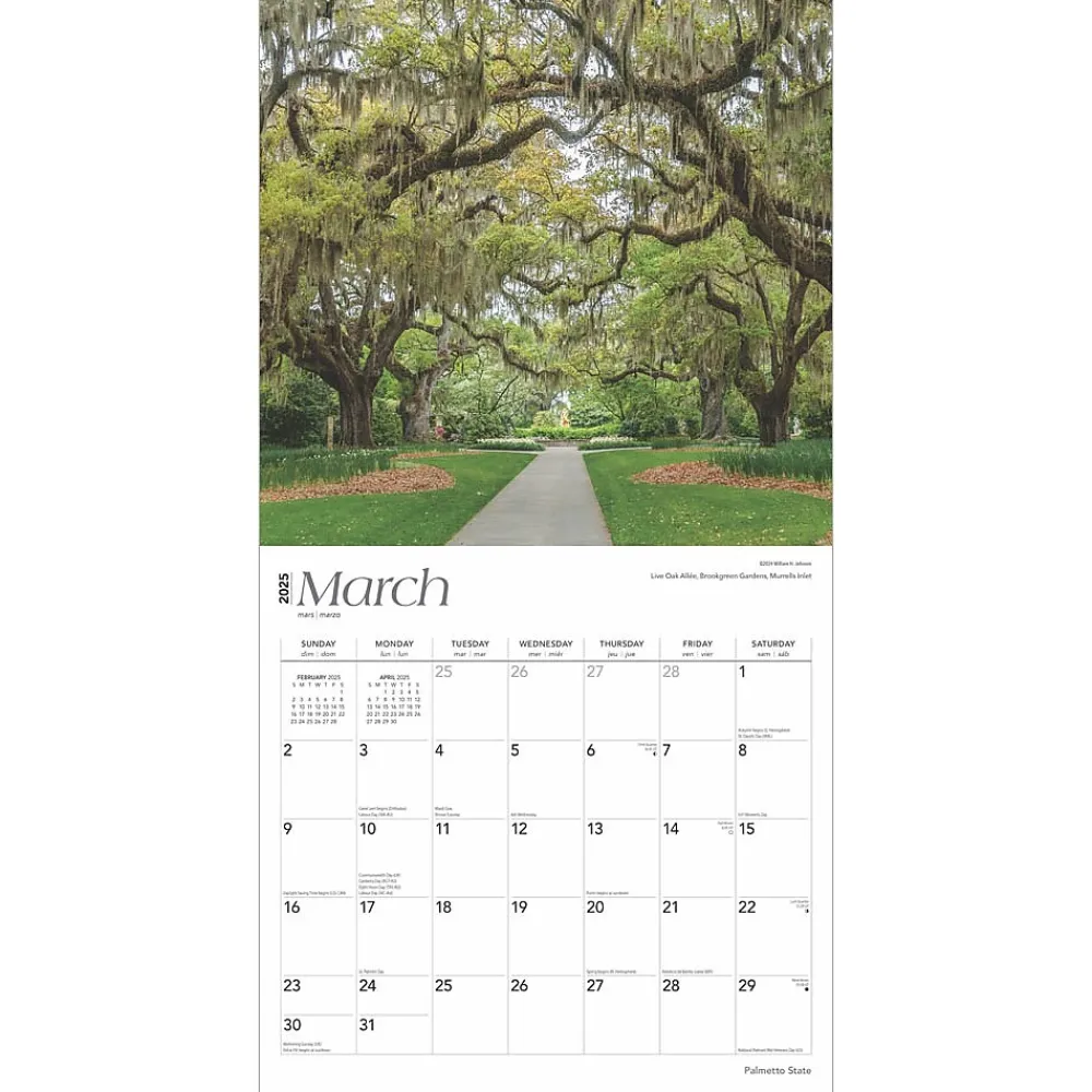 2025 Calendars|BrownTrout 2025 Palmetto State South Carolina Places 12" x 12" Monthly Wall Calendar (9781975483050)