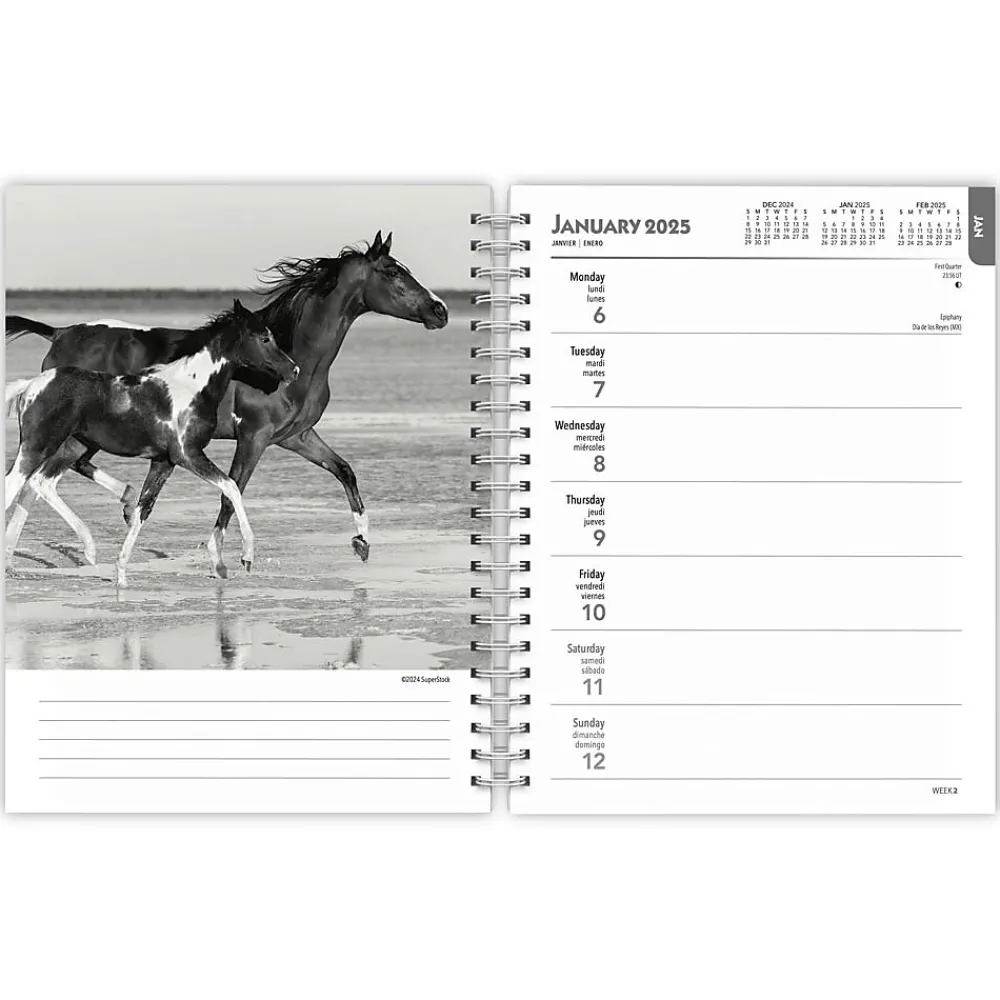 2025 Planners|BrownTrout 2025 Portrait Series: The Noble Horse 6" x 7.75" Weekly Engagement Planner, Paper Cover, Multicolored (9781975473228)