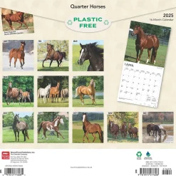 2025 Calendars|BrownTrout 2025 Quarter Horses 12" x 12" Monthly Wall Calendar (9781975477608)