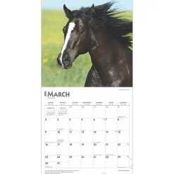 2025 Calendars|BrownTrout 2025 Quarter Horses 12