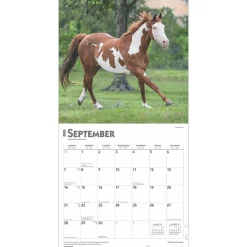 2025 Calendars|BrownTrout 2025 Quarter Horses 12