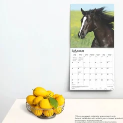 2025 Calendars|BrownTrout 2025 Quarter Horses 12