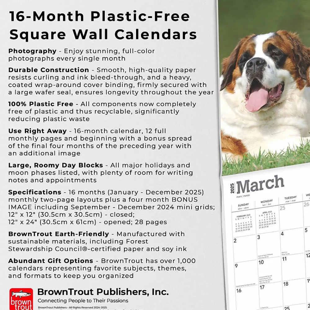 2025 Calendars|BrownTrout 2025 Saint Bernards 12" x 24" Monthly Square Wall Calendar (9781975477653)