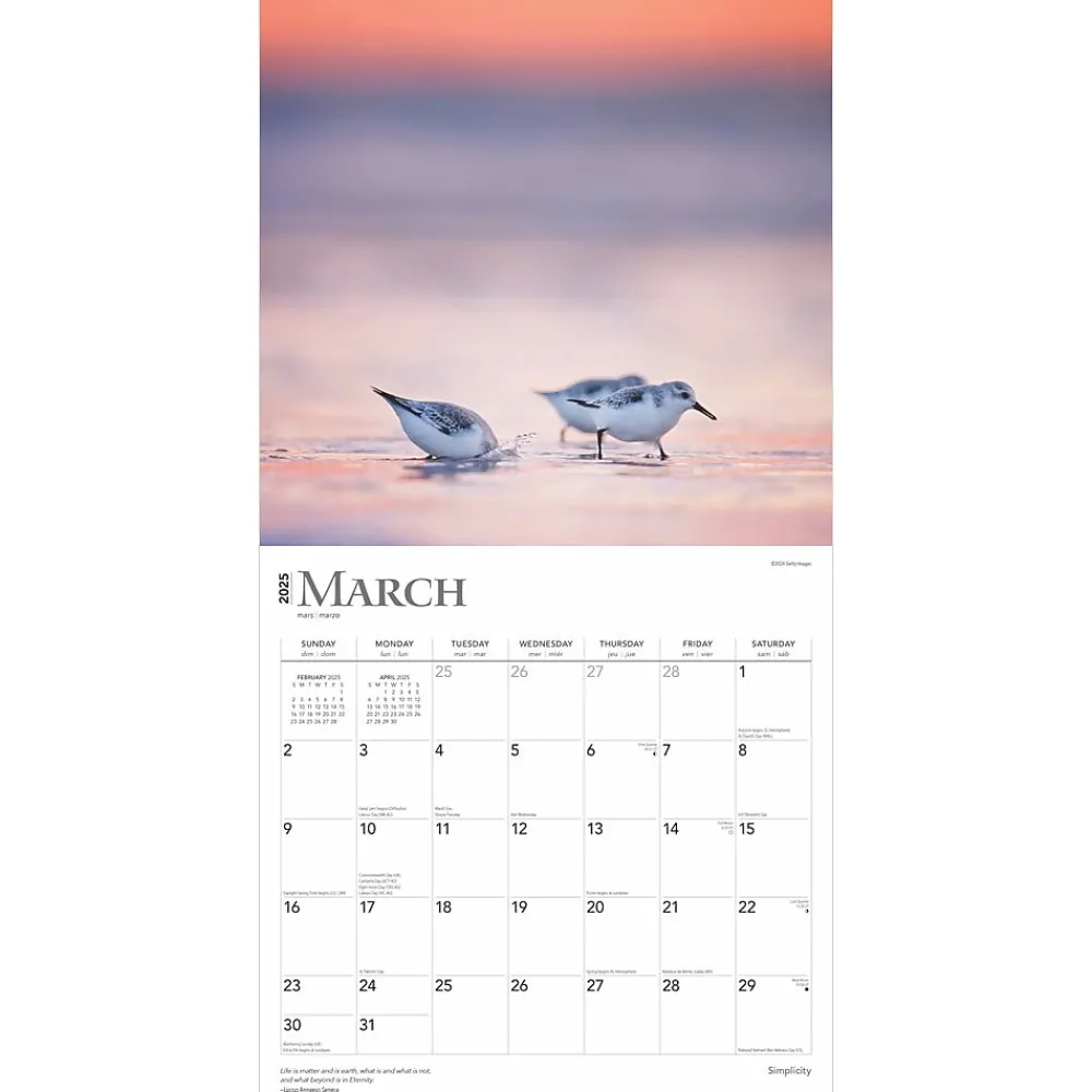 2025 Calendars|BrownTrout 2025 Simplicity 12" x 24" Monthly Square Wall Calendar, (9781975477790)