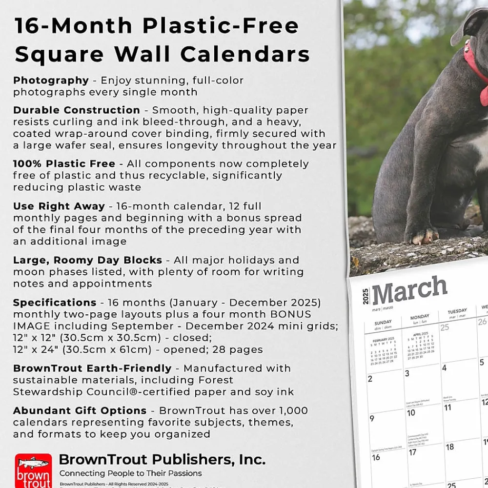 2025 Calendars|BrownTrout 2025 Staffordshire Bull Terriers Puppies 12" x 12" Monthly Square Wall Calendar (9781975475741)