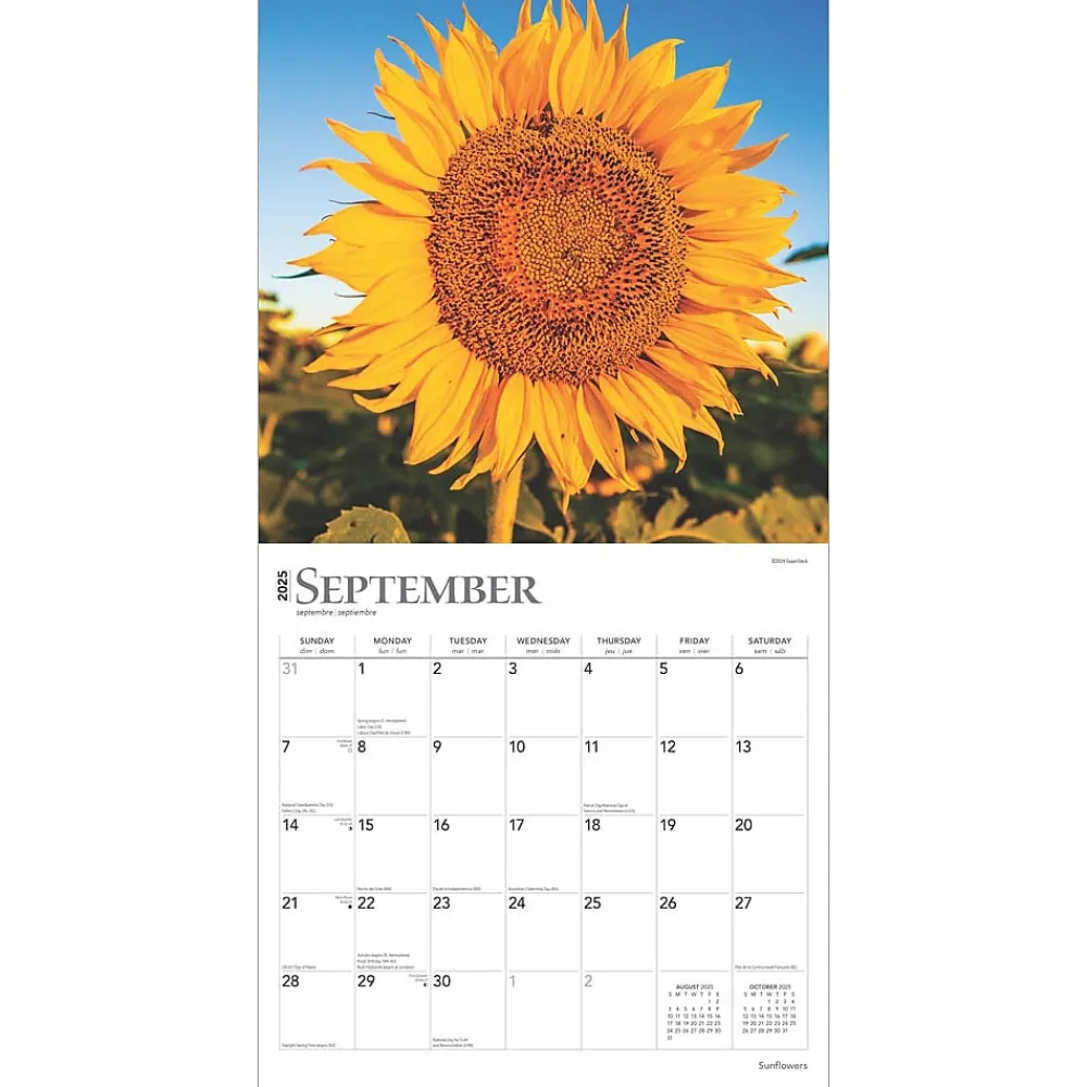 2025 Calendars|BrownTrout 2025 Sunflowers 12" x 12" Monthly Square Wall Calendar (9781975477837)