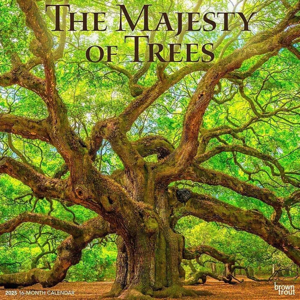 2025 Calendars|BrownTrout 2025 The Majesty of Trees 12" x 12" Monthly Square Wall Calendar (9781975477394)