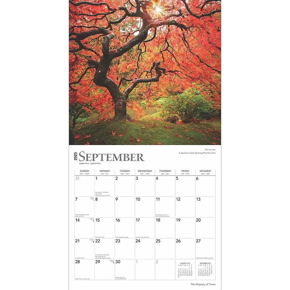 2025 Calendars|BrownTrout 2025 The Majesty of Trees 12" x 12" Monthly Square Wall Calendar (9781975477394)