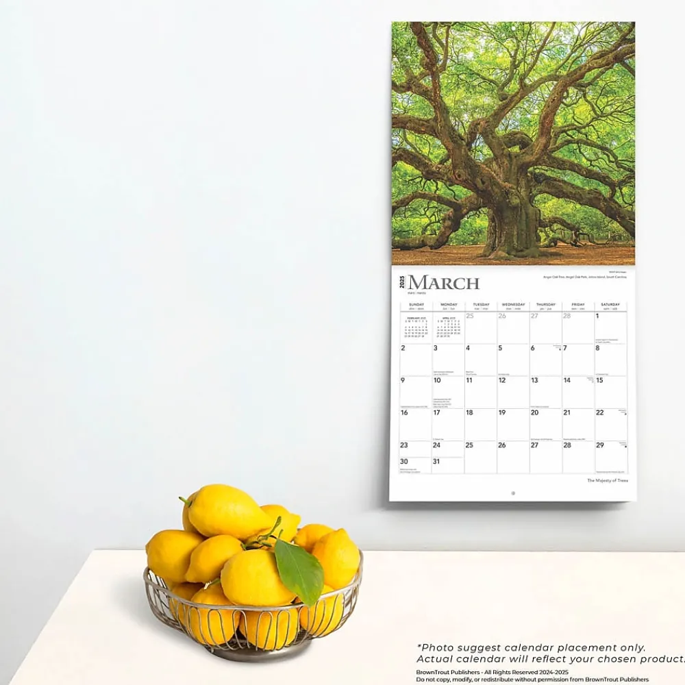 2025 Calendars|BrownTrout 2025 The Majesty of Trees 12" x 12" Monthly Square Wall Calendar (9781975477394)