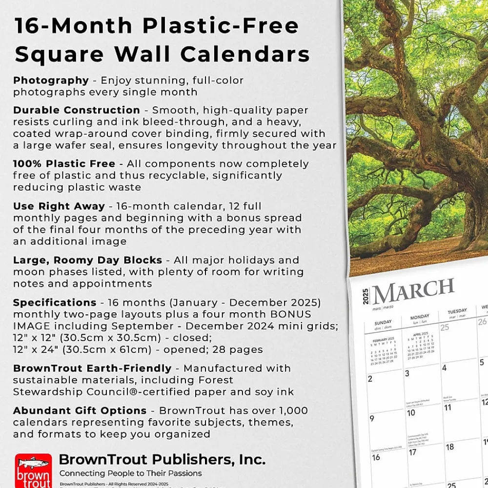 2025 Calendars|BrownTrout 2025 The Majesty of Trees 12" x 12" Monthly Square Wall Calendar (9781975477394)