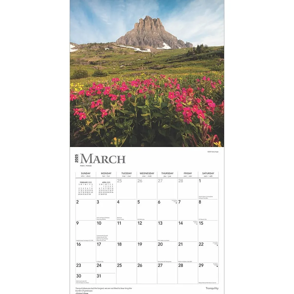 2025 Calendars|BrownTrout 2025 Tranquility 12" x 12" Monthly Square Wall Calendar (9781975477882)