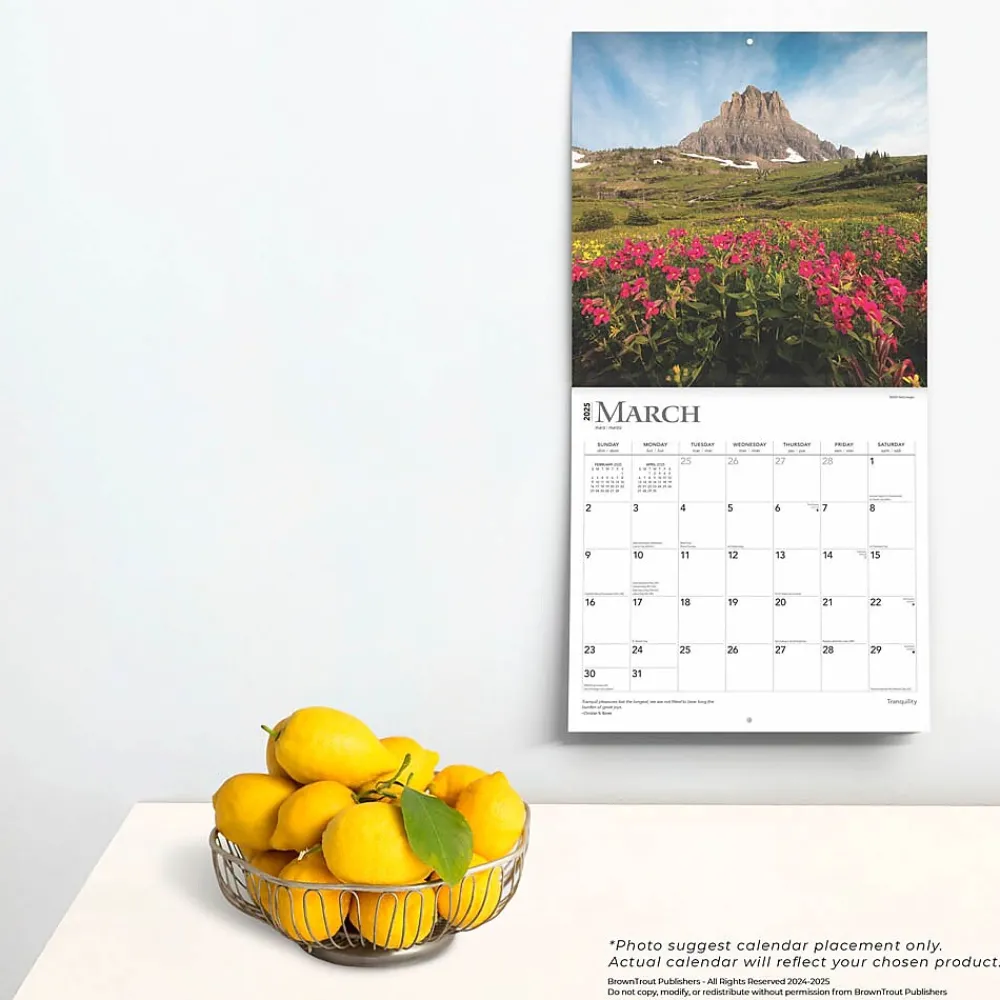 2025 Calendars|BrownTrout 2025 Tranquility 12" x 12" Monthly Square Wall Calendar (9781975477882)