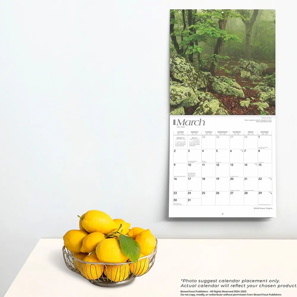 2025 Calendars|BrownTrout 2025 Virginia Wild & Scenic 12" x 12" Monthly Wall Calendar (9781975475864)