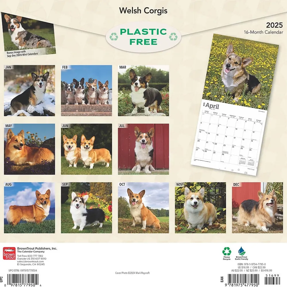 2025 Calendars|BrownTrout 2025 Welsh Corgis 12" x 12" Monthly Wall Calendar (9781975477950)