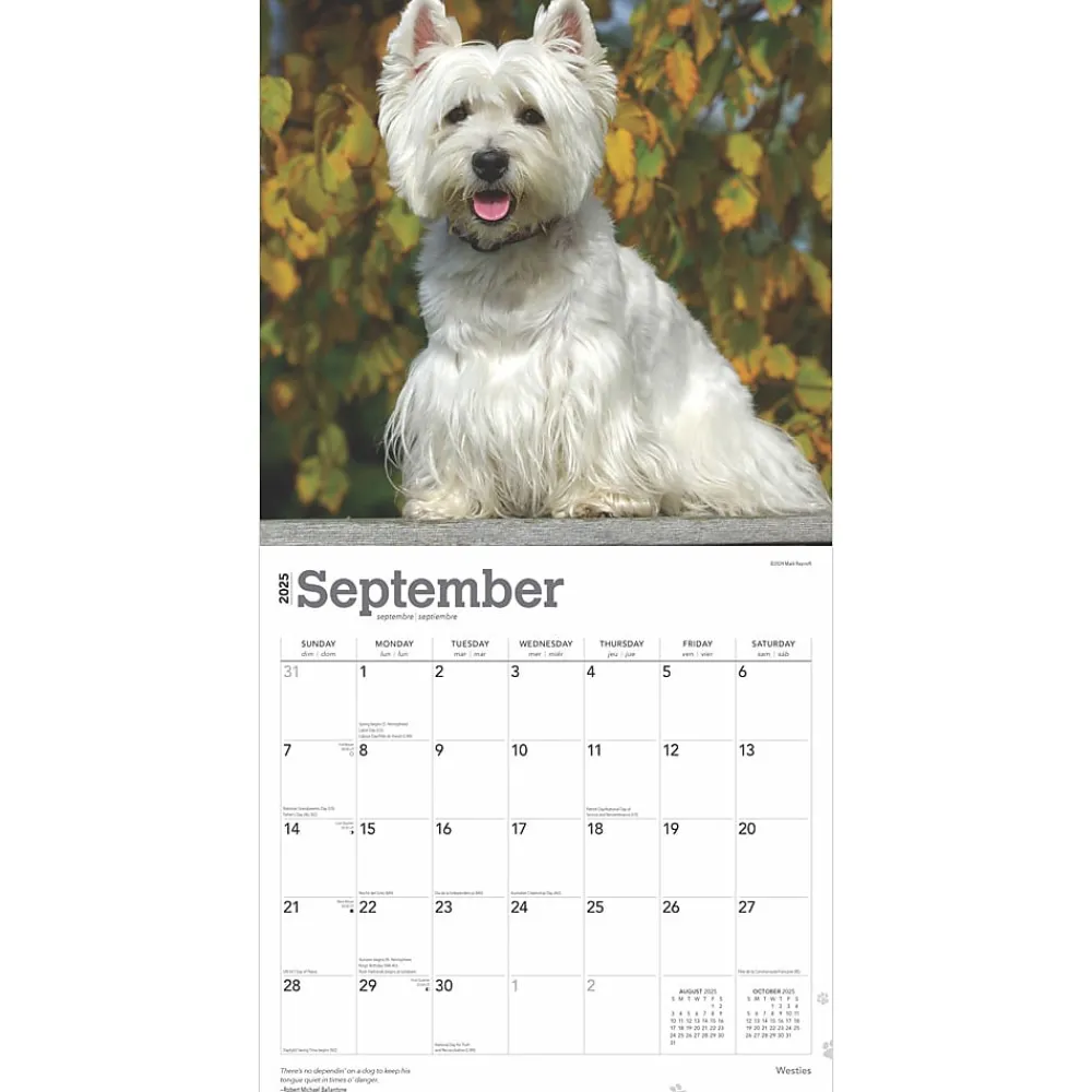 2025 Calendars|BrownTrout 2025 West Highland White Terriers 12" x 12" Monthly Wall Calendar (9781975477974)