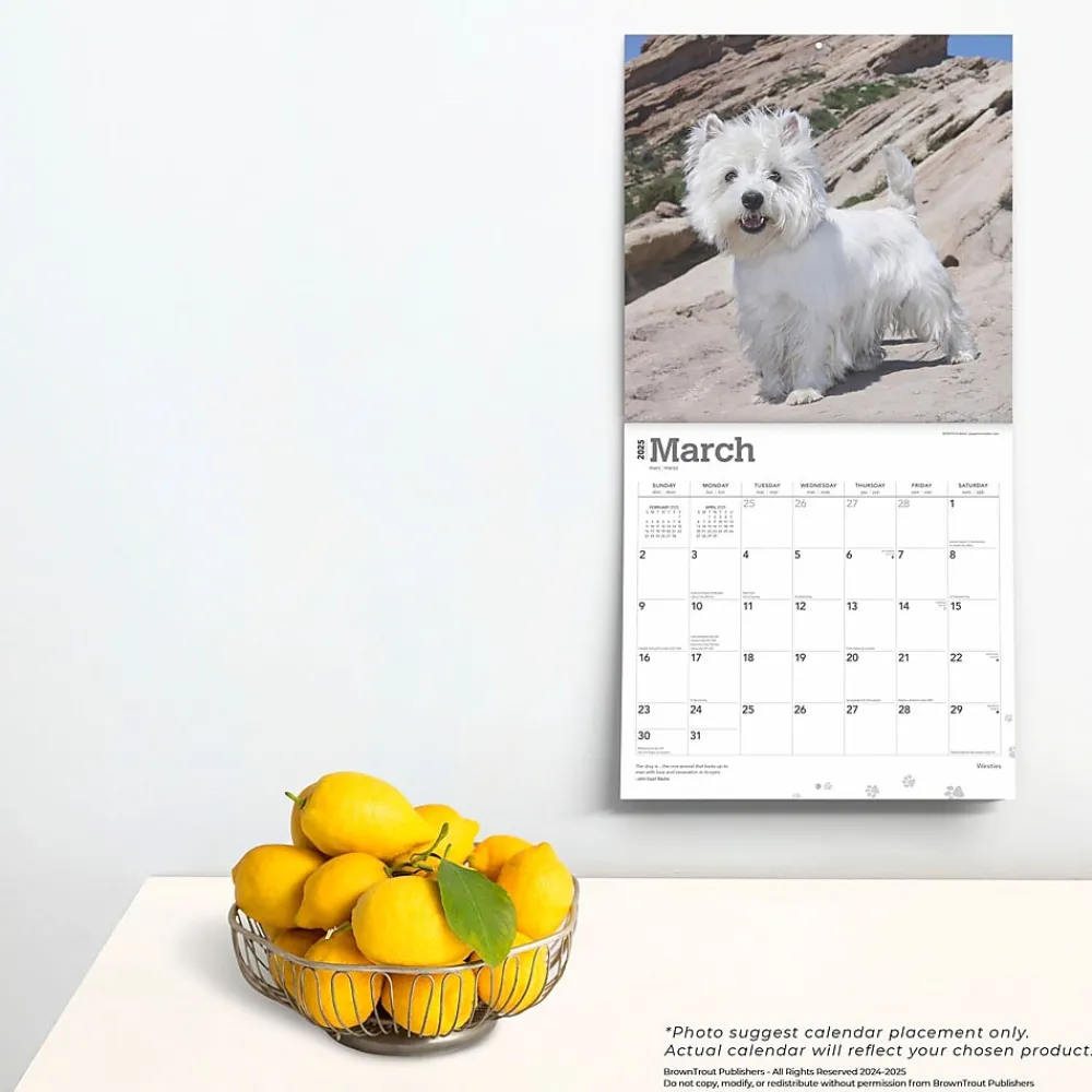 2025 Calendars|BrownTrout 2025 West Highland White Terriers 12" x 12" Monthly Wall Calendar (9781975477974)