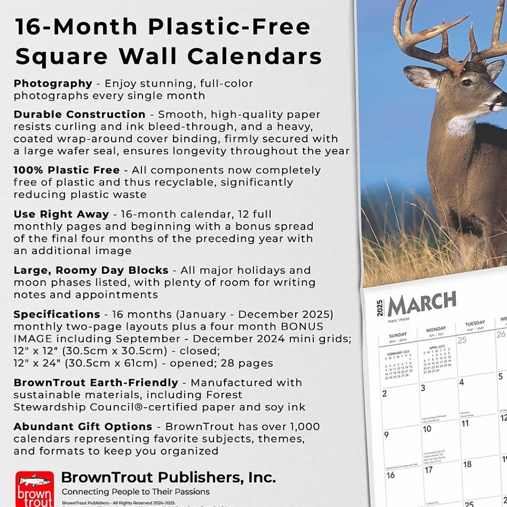2025 Calendars|BrownTrout 2025 White Tailed Deer 12" x 12" Monthly Wall Calendar (9781975477998)