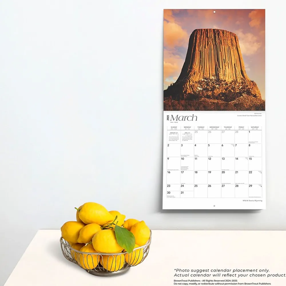 2025 Calendars|BrownTrout 2025 Wyoming Wild & Scenic 12" x 12" Monthly Wall Calendar (9781975475987)
