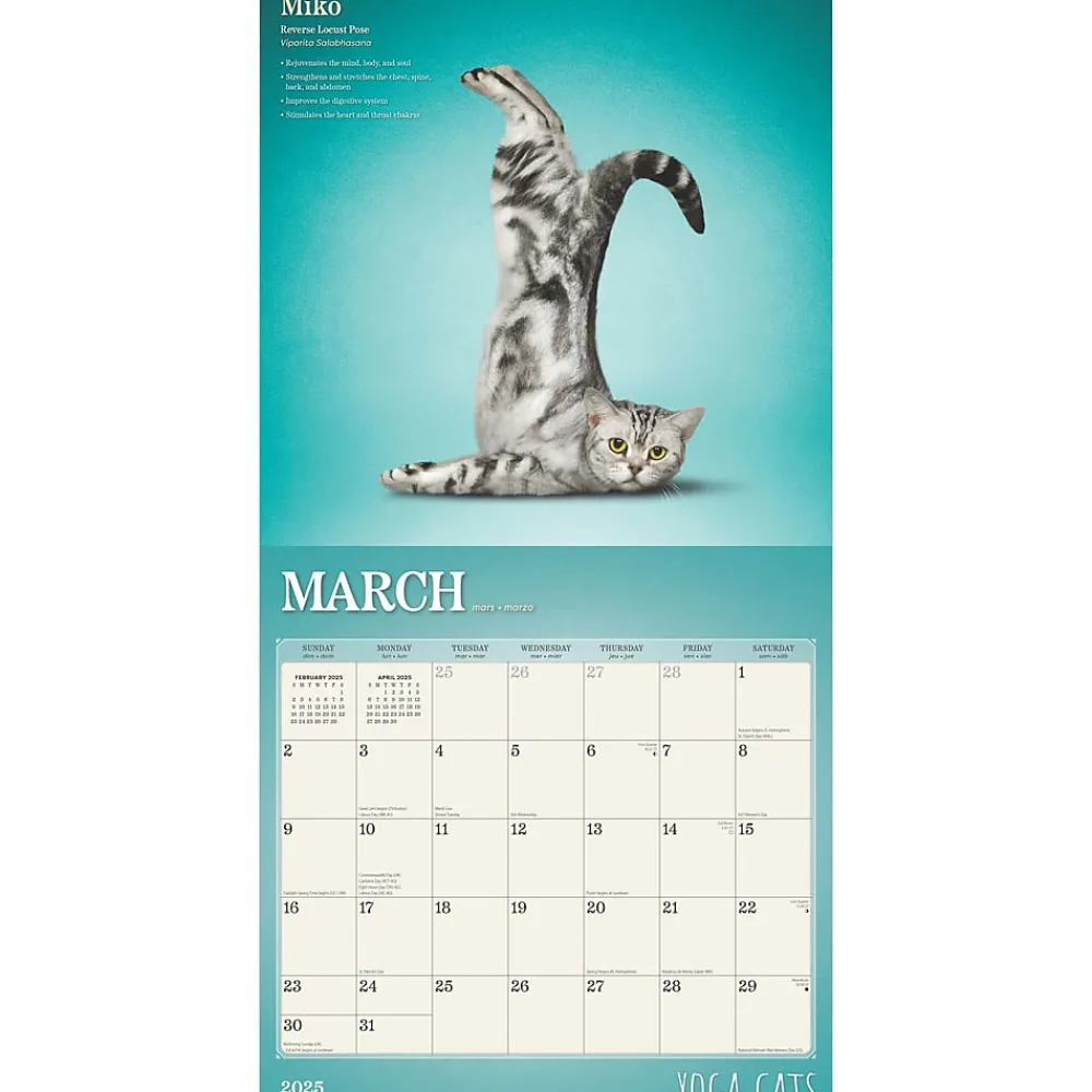 2025 Calendars|BrownTrout 2025 Yoga Cats 12" x 24" Monthly Square Wall Calendar, (9781975479862)