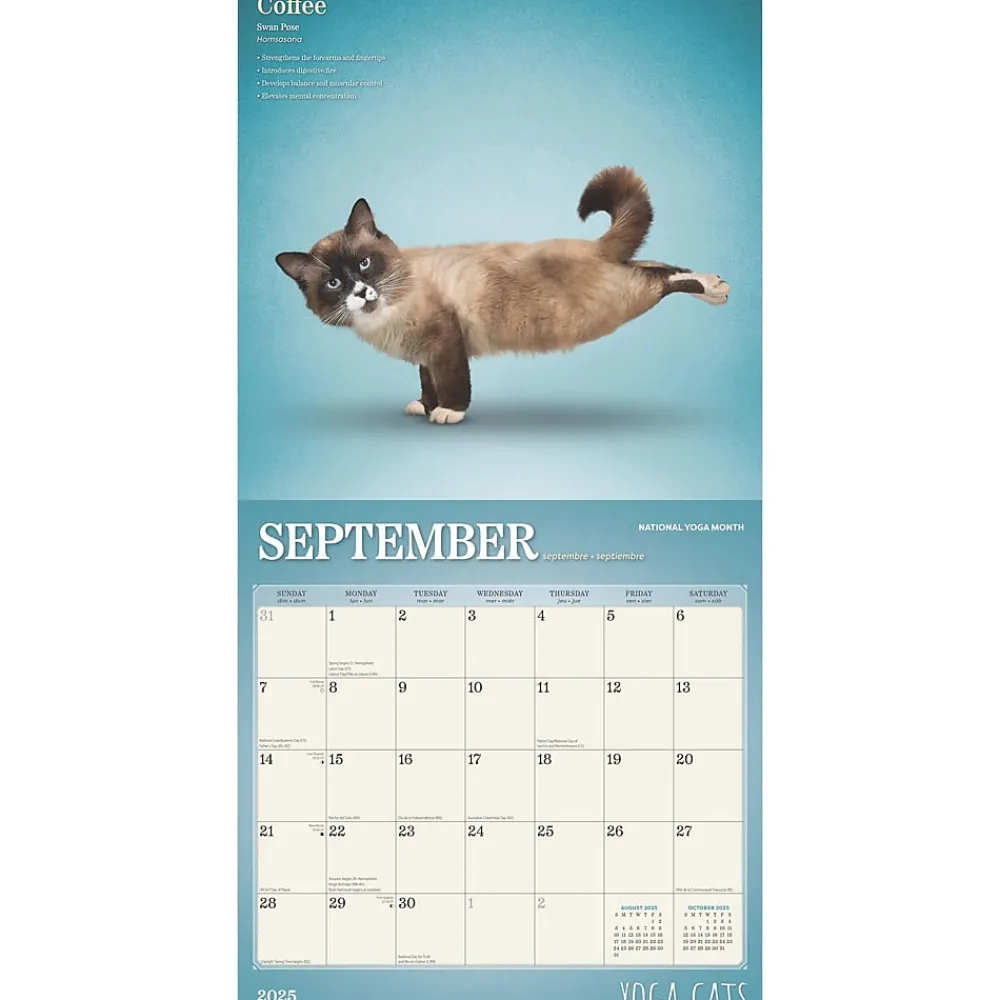 2025 Calendars|BrownTrout 2025 Yoga Cats 12" x 24" Monthly Square Wall Calendar, (9781975479862)