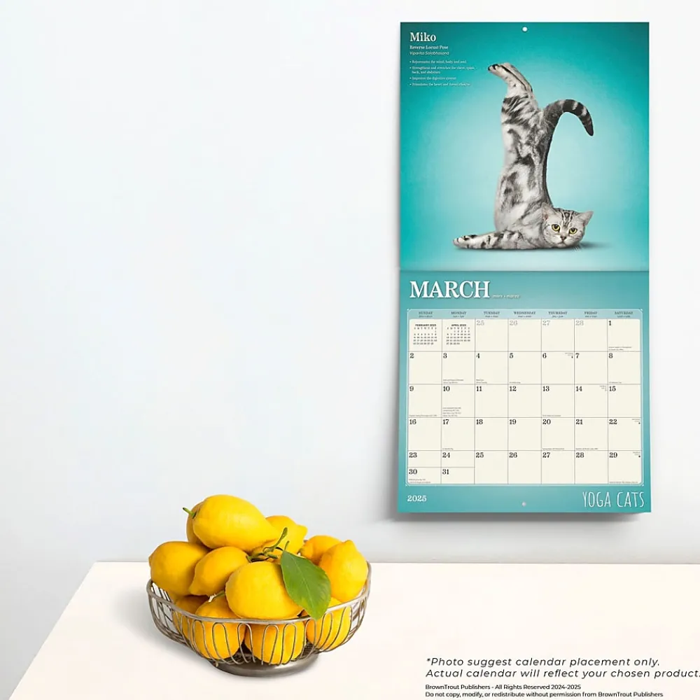 2025 Calendars|BrownTrout 2025 Yoga Cats 12" x 24" Monthly Square Wall Calendar, (9781975479862)