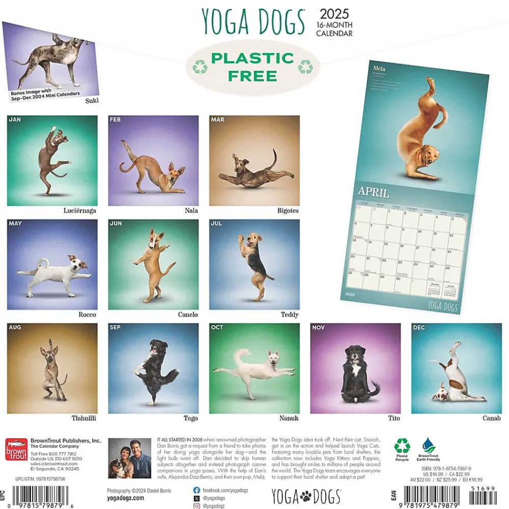 2025 Calendars|BrownTrout 2025 Yoga Dogs 12" x 12" Monthly Wall Calendar (9781975479879)