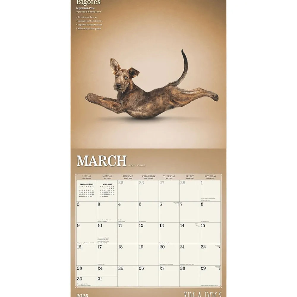 2025 Calendars|BrownTrout 2025 Yoga Dogs 12" x 12" Monthly Wall Calendar (9781975479879)