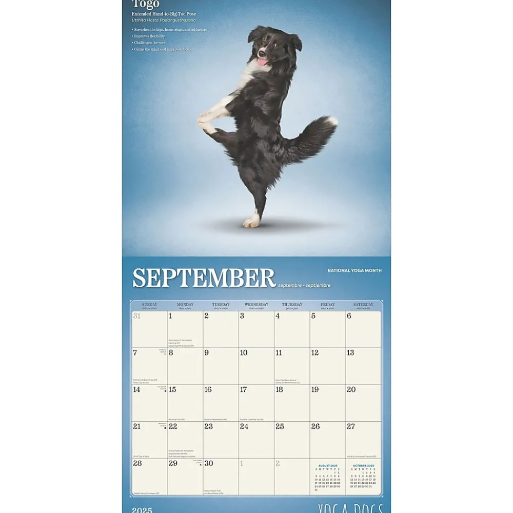 2025 Calendars|BrownTrout 2025 Yoga Dogs 12" x 12" Monthly Wall Calendar (9781975479879)