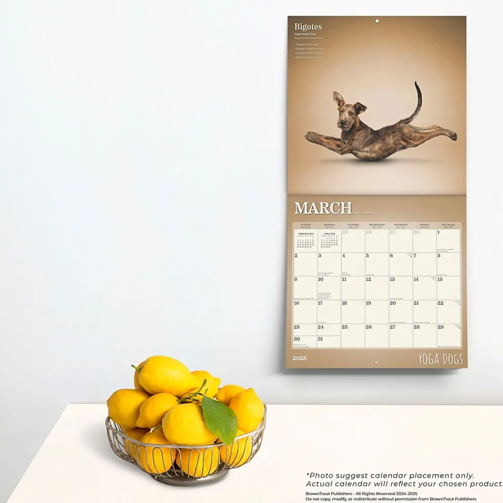 2025 Calendars|BrownTrout 2025 Yoga Dogs 12" x 12" Monthly Wall Calendar (9781975479879)
