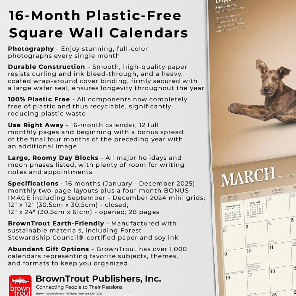 2025 Calendars|BrownTrout 2025 Yoga Dogs 12" x 12" Monthly Wall Calendar (9781975479879)
