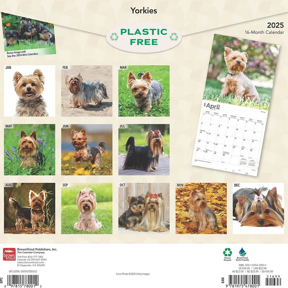 2025 Calendars|BrownTrout 2025 Yorkshire Terriers 12" x 12" Monthly Wall Calendar (9781975478001)