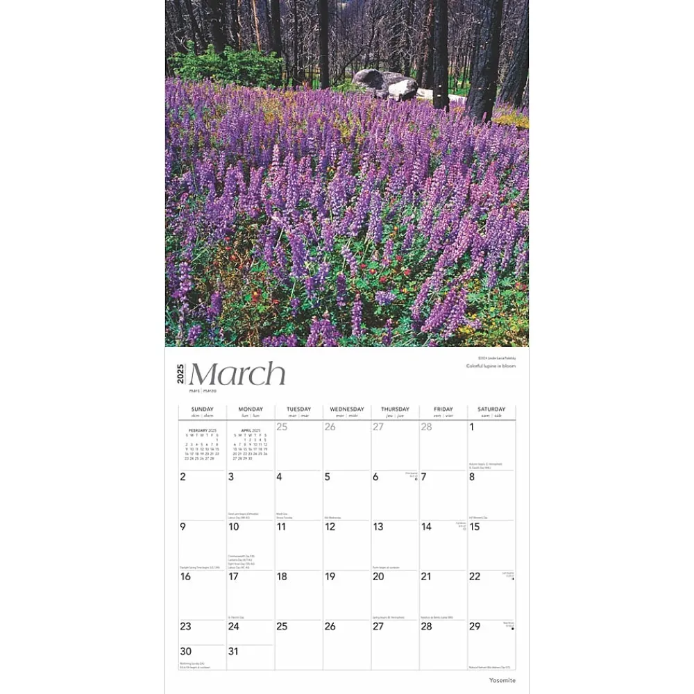 2025 Calendars|BrownTrout 2025 Yosemite 12" x 24" Monthly Square Wall Calendar, (9781975475994)