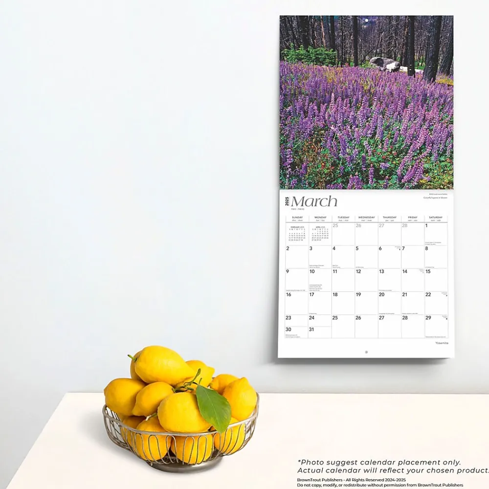 2025 Calendars|BrownTrout 2025 Yosemite 12" x 24" Monthly Square Wall Calendar, (9781975475994)