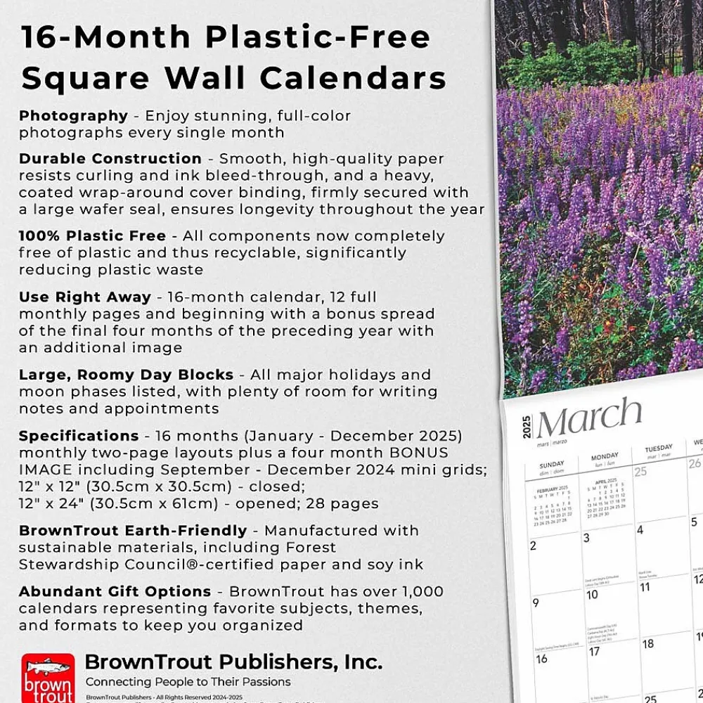 2025 Calendars|BrownTrout 2025 Yosemite 12" x 24" Monthly Square Wall Calendar, (9781975475994)