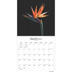 2025 Calendars|Brush Dance 2025 In the Garden 12
