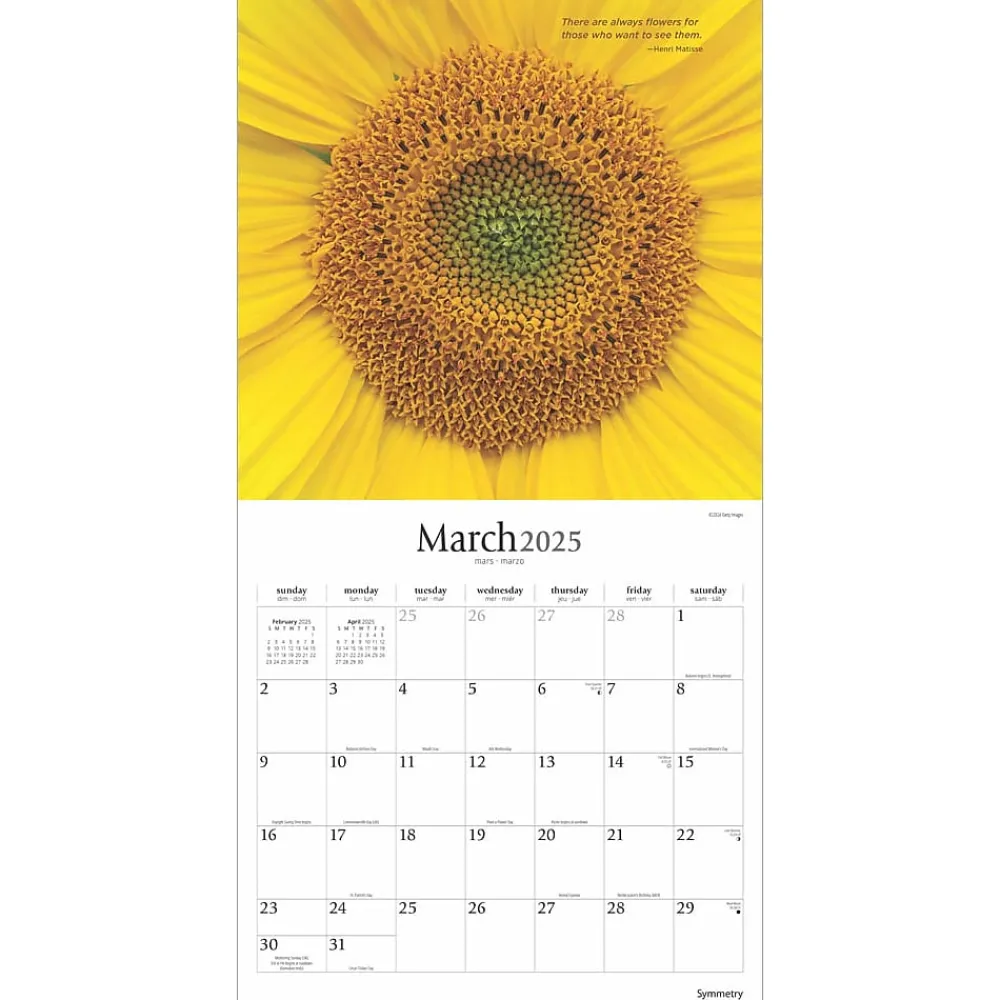 2025 Calendars|BrownTrout 2025 Brush Dance Symmetry 12" x 12" Monthly Wall Calendar (9781975481445)